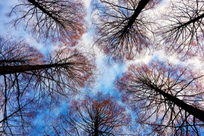 15%: Come evitare perdite di entrate con la registrazione ISRC
