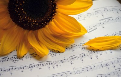 音楽業界のグローバル化成功のための3つの方法ガイド