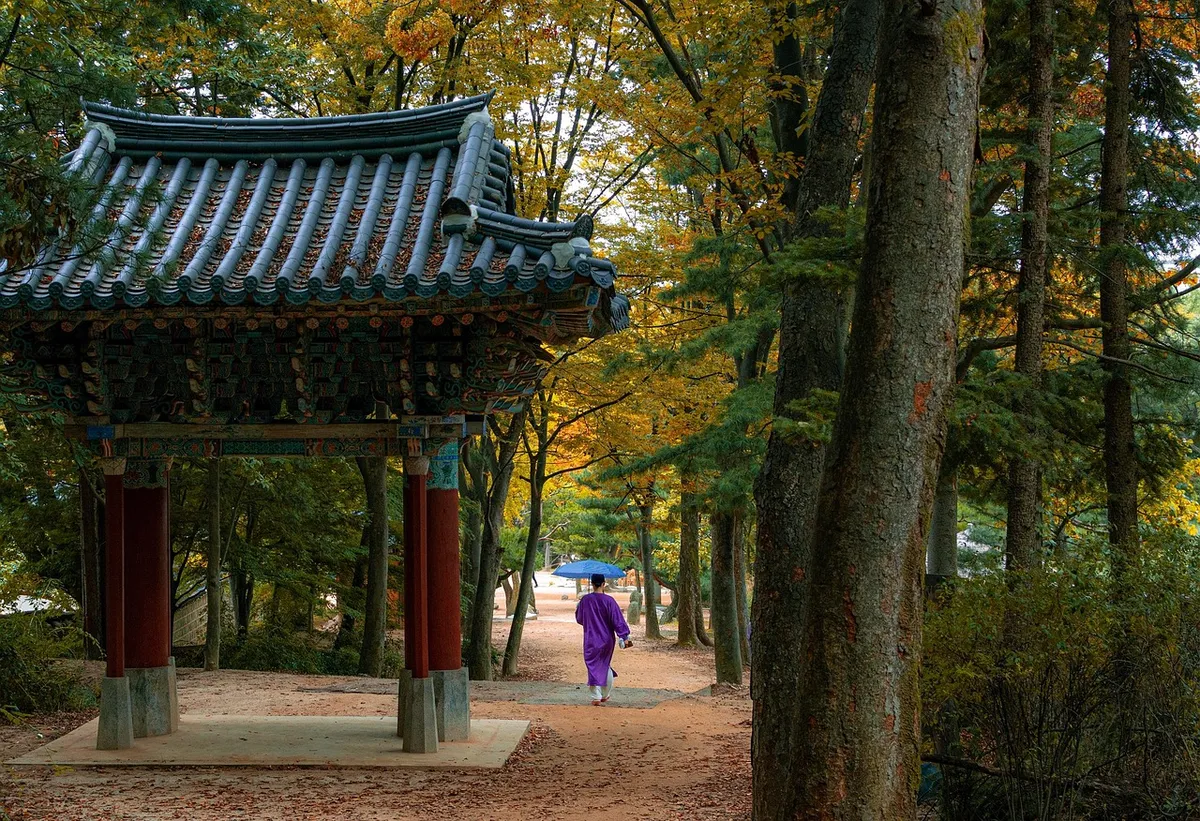 韓国の風俗村、森、木々、散歩、秋、園、公園、文化、村、伝統、歴史、観光、漢拝、民生村、民生川、南