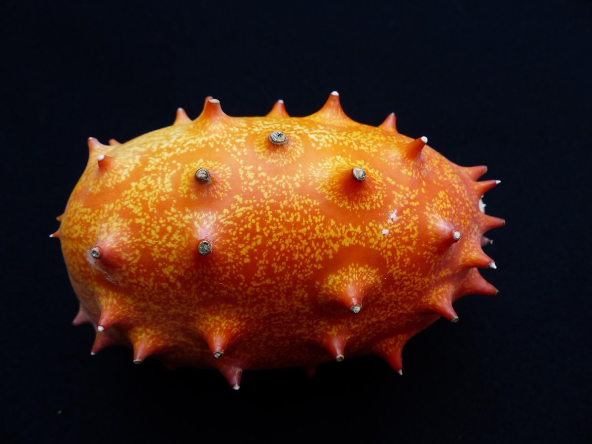 Melon-Chart-Display
